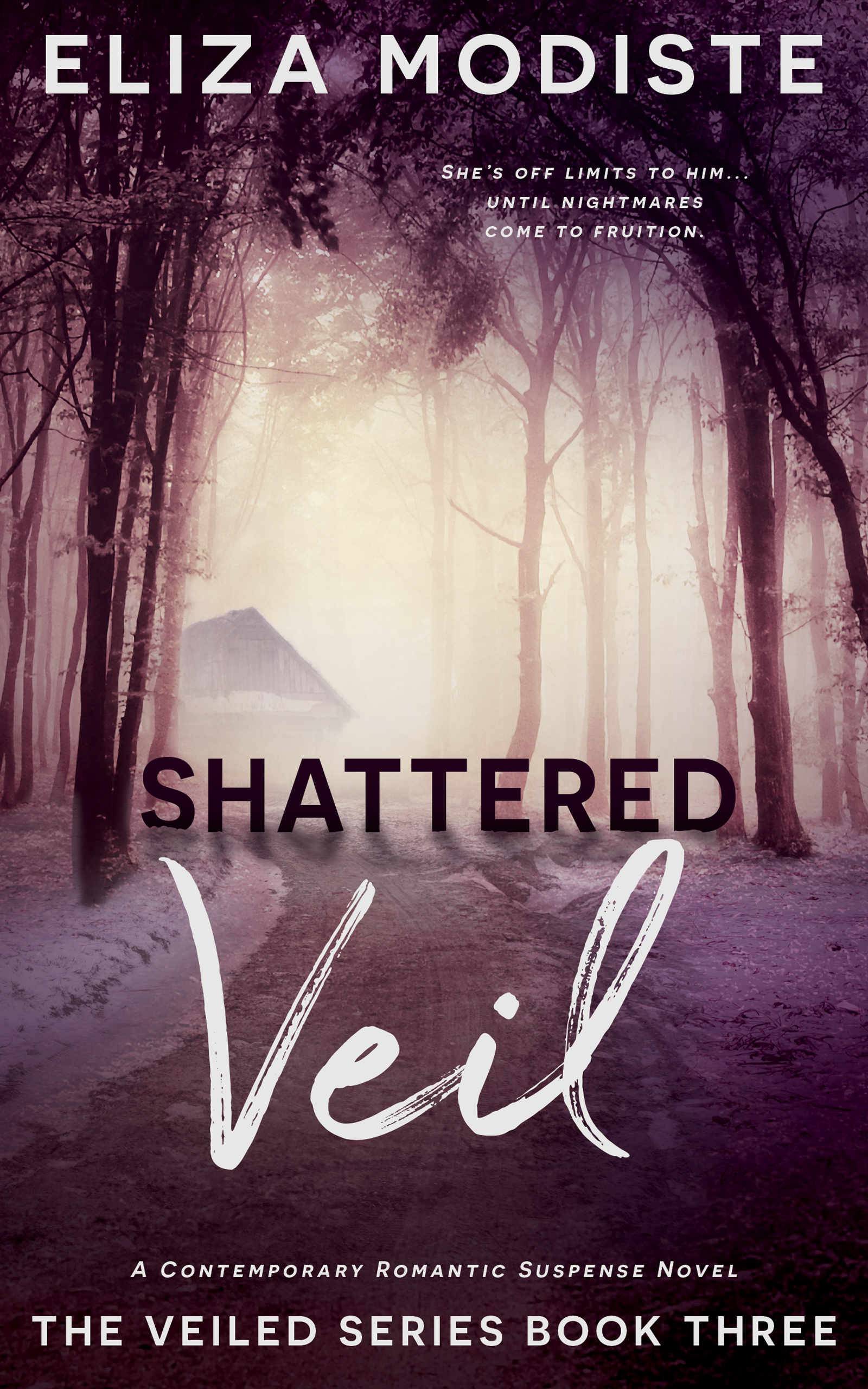 Shattered Veil: A Forbidden Relationship Contemporary Romantic Suspense Novel (The Veiled Series Book Three)