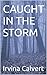 CAUGHT IN THE STORM
