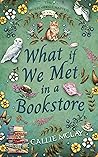 What If We Met In A Bookstore (The Breezewood Chapters Book 1) Book cover for What If We Met In A Bookstore (The Breezewood Chapters Book 1)