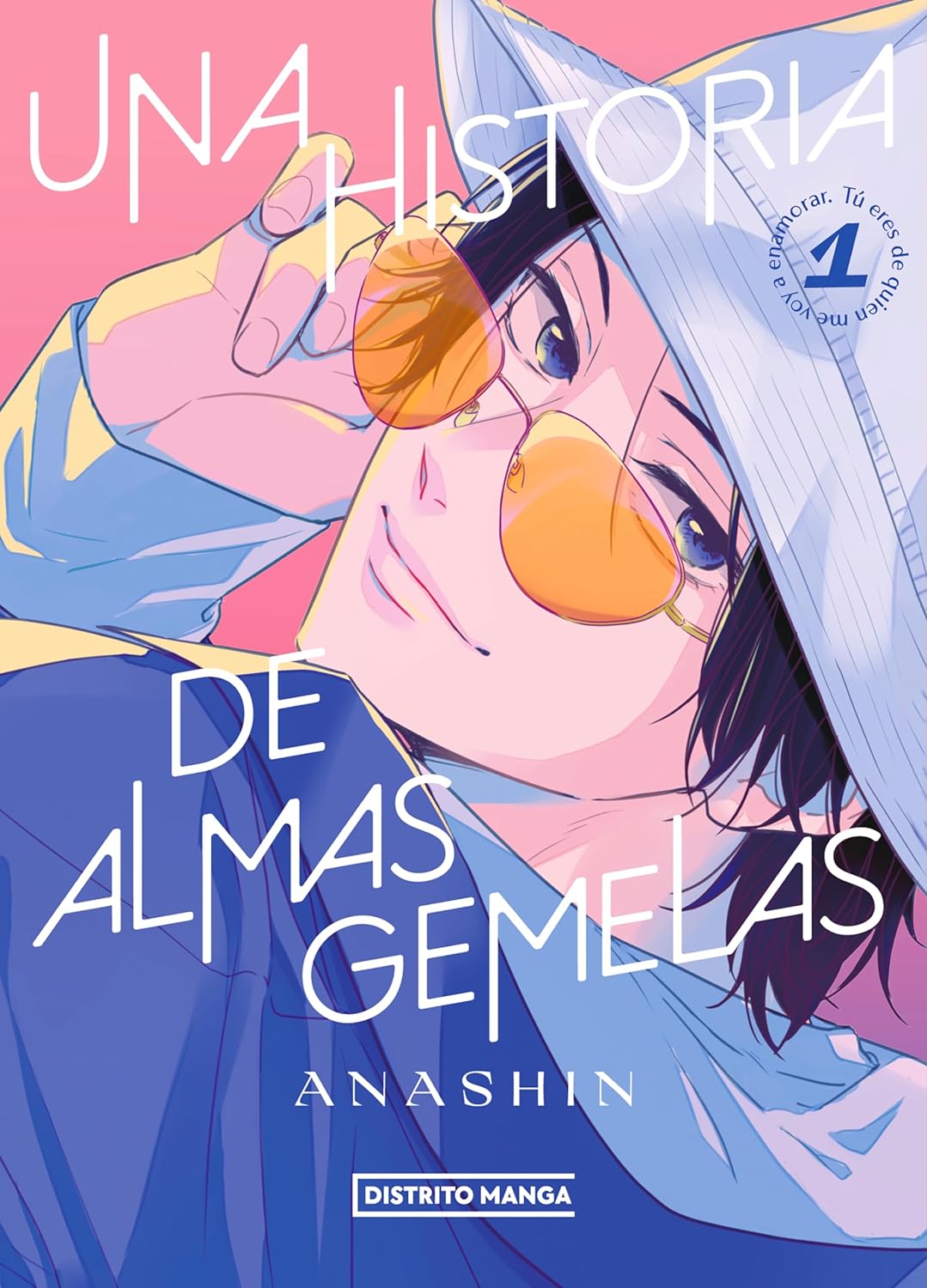 Una historia de almas gemelas, vol. 1
