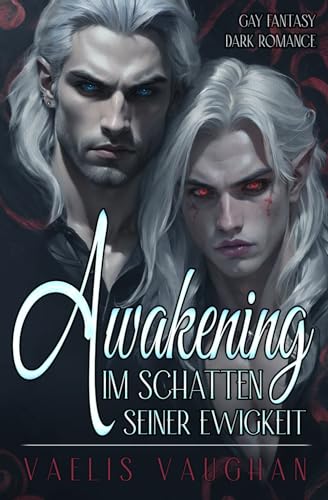 Awakening - Im Schatten seiner Ewigkeit: Gay Fantasy / Dark Romance (Paperback)
