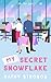 My Secret Snowflake (New York Spark #3)