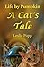Life by Pumpkin: A Cat's Tale