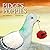 Pidge’s Poppies