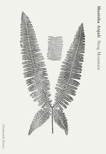 Naag Mountain (Paperback)