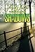 A Walk Through the Shadows:...