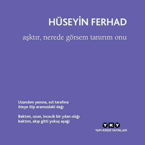 Aşktır, Nerede Görsem Tanırım Onu (Paperback)