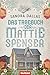 Das Tagebuch der Mattie Spenser (German Edition)