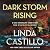 Dark Storm Rising (Kate Bur...