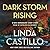 Dark Storm Rising (Kate Burkholder, #15.5)