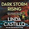 Dark Storm Rising by Linda  Castillo