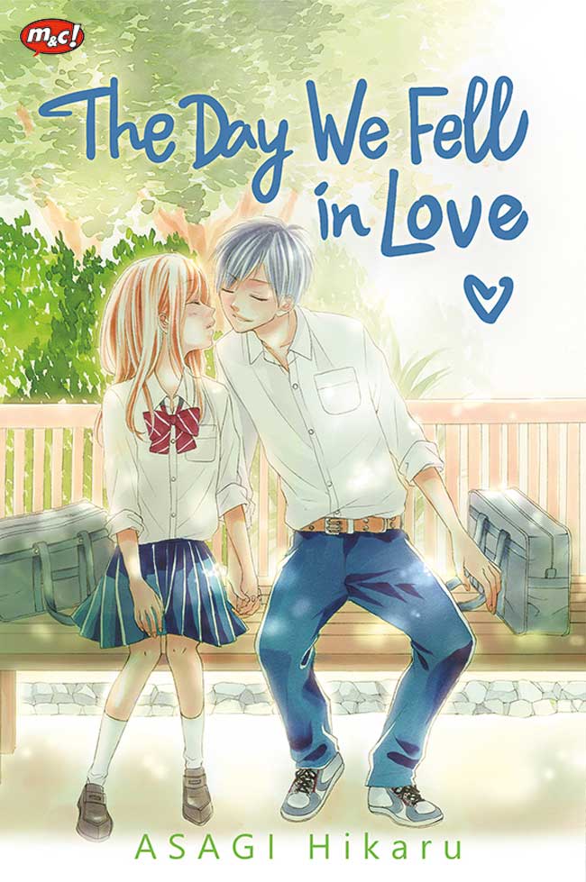 The Day We Fell In Love (Paperback)