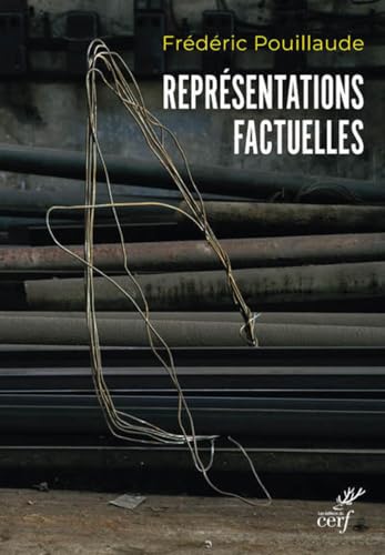 REPRESENTATIONS FACTUELLES (French Edition)