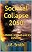Societal Collapse 2050: WAR...