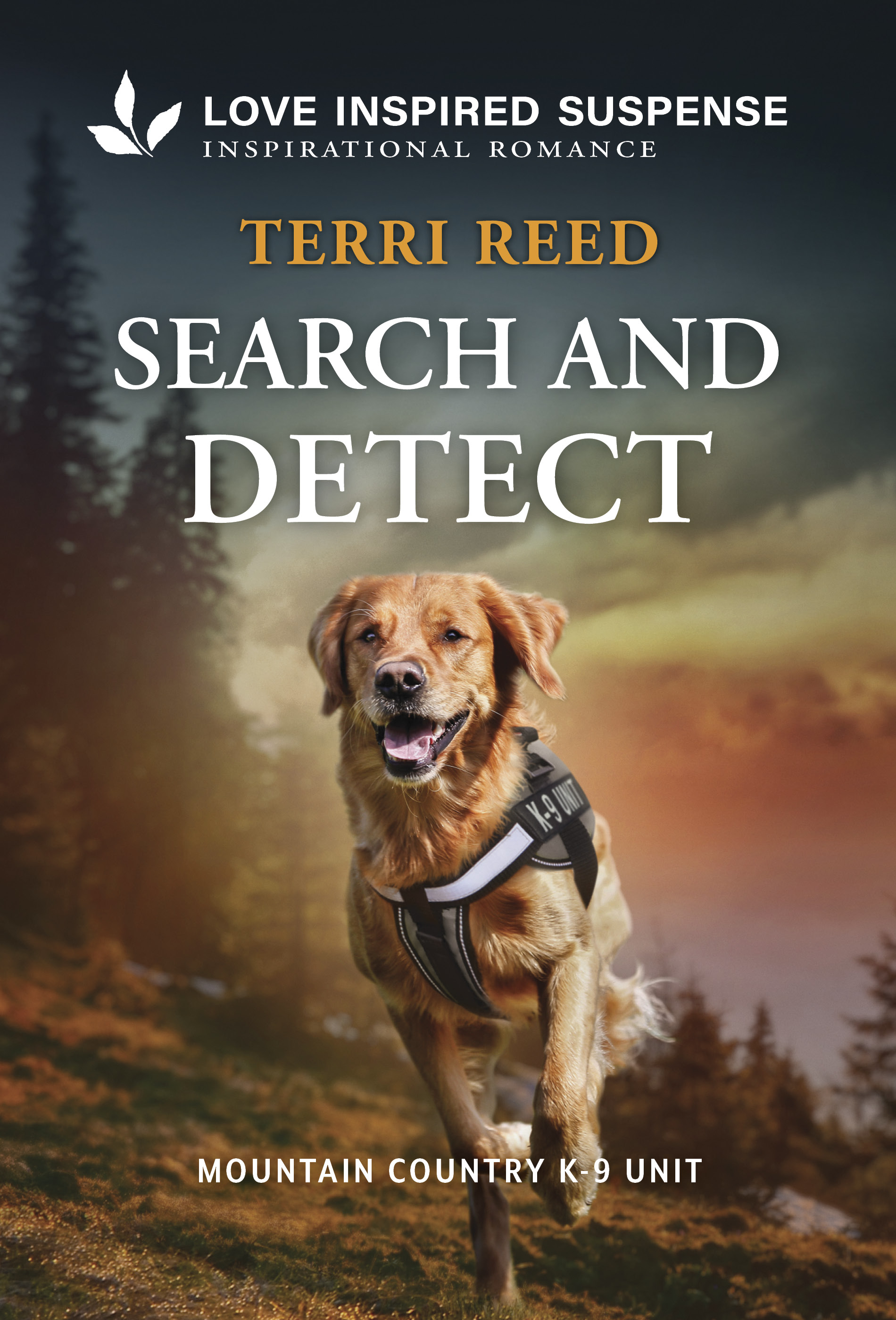 Search and Detect: A K-9 Unit Inspirational Suspense Romance (Mountain Country K-9 Unit Book 8)