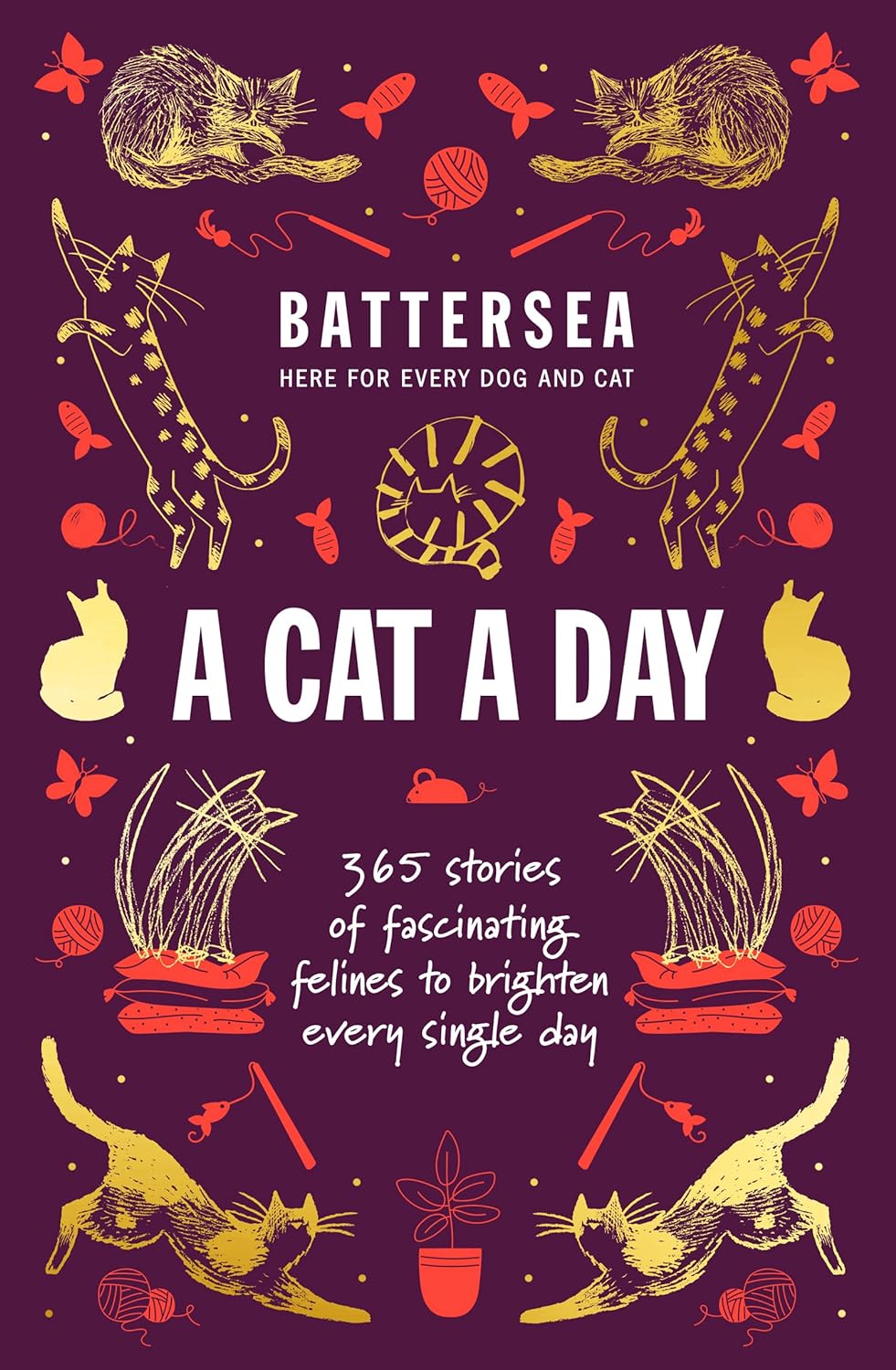 A Cat a Day: 365 Stories of Fascinating Felines to Brighten Every Single Day