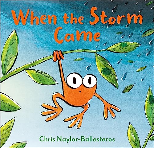 When the Storm Came (Hardcover)