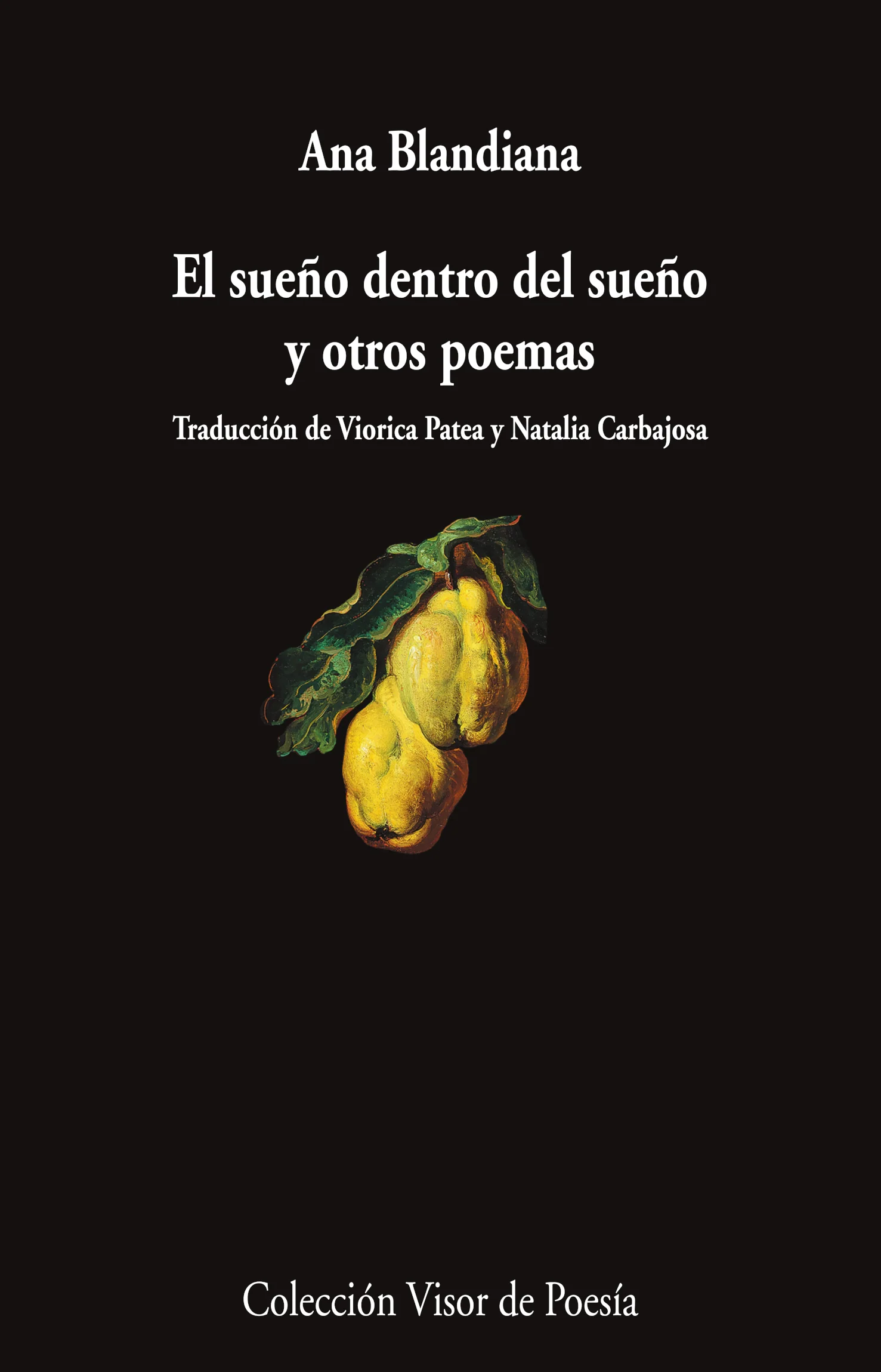 El sueño dentro del sueño y otros poemas (Paperback)