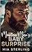 Mountain Man's Baby Surprise