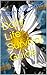 Daily Life Survival Guide by Pam Williams