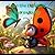 Luna the Ladybird Learns to...