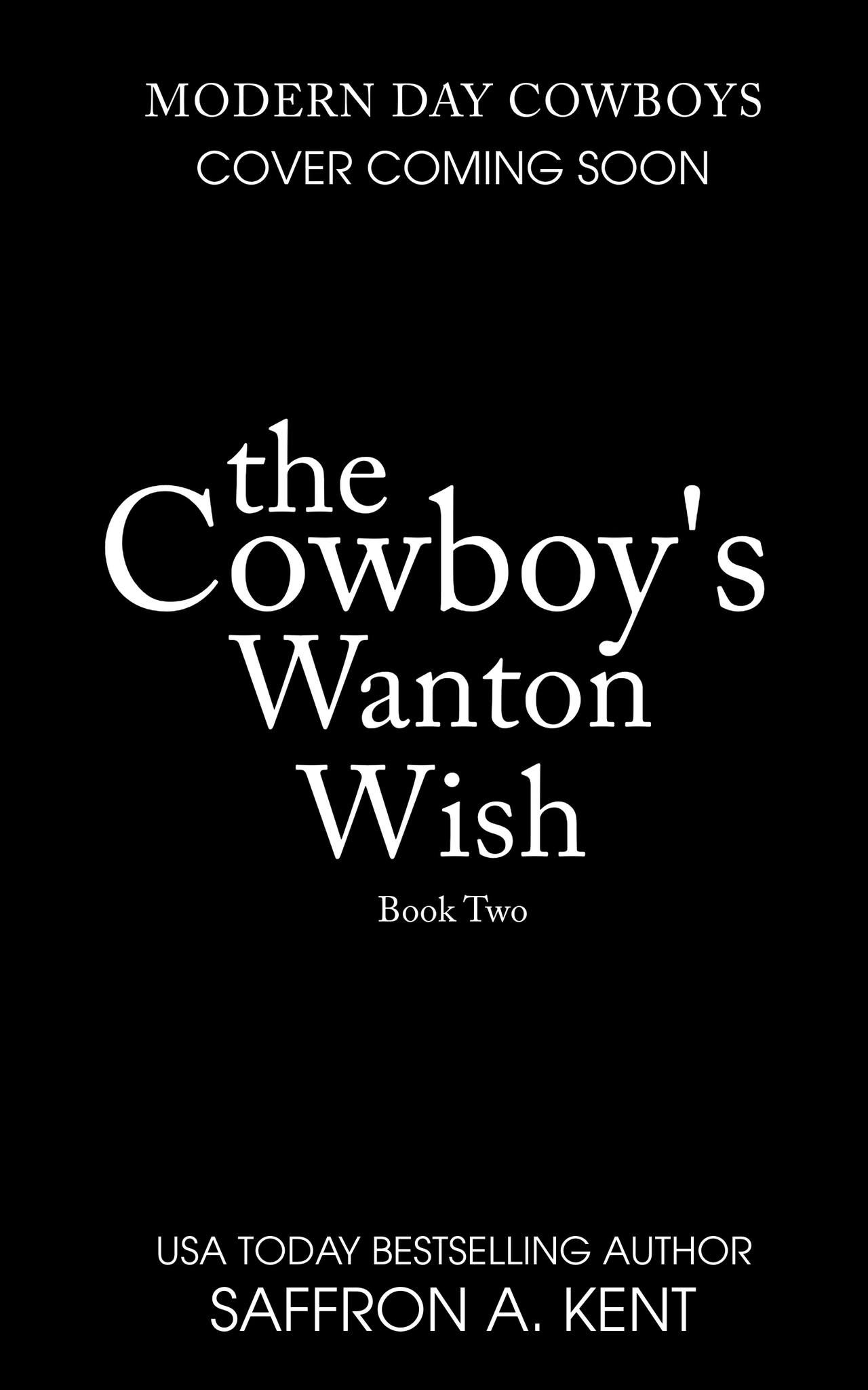 The Cowboy's Wanton Wish (Modern Day Cowboys, #2)