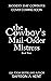 The Cowboy's Mail-Order Mis...