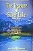 The Treasure of Silver Lake by Karl May