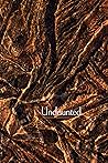 Undaunted : the B...