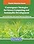 Convergence Strategies for Green Computing and Sustainable Development