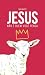 Jesus Não é Quem Você Pensa by Tiago Mattes