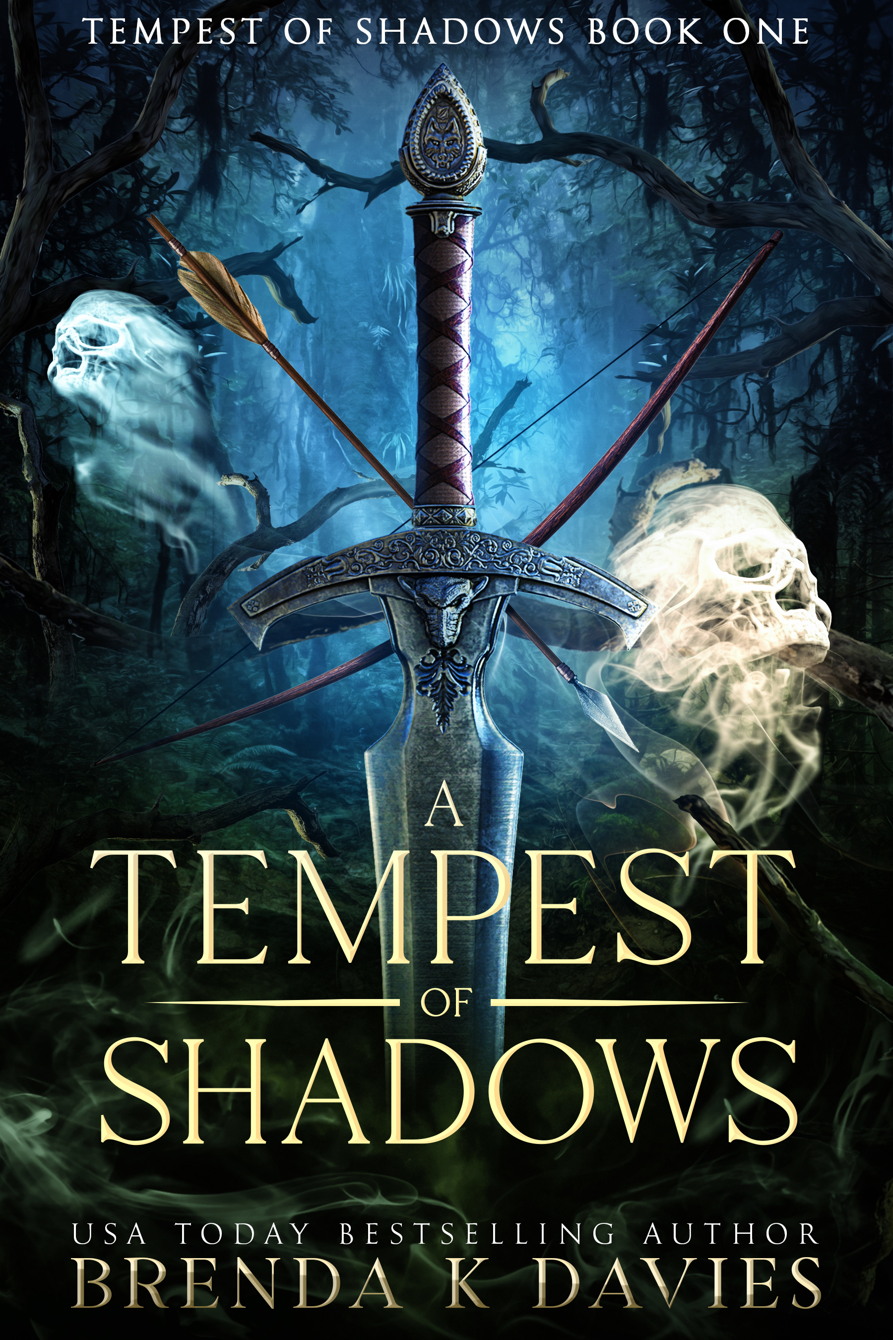 A Tempest of Shadows (Tempest of Shadows, #1)