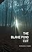 The Blake Pond Cut by Salvatore J. Vassallo