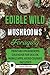 Edible Wild Mushrooms Foraging by Lomasi Ahusaka