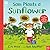 National Trust: Sam Plants a Sunflower