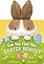 Can You Find the Easter Bunny?: With flaps to lift!