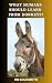 What Humans Should Learn From Donkeys? by HB Goldsmith