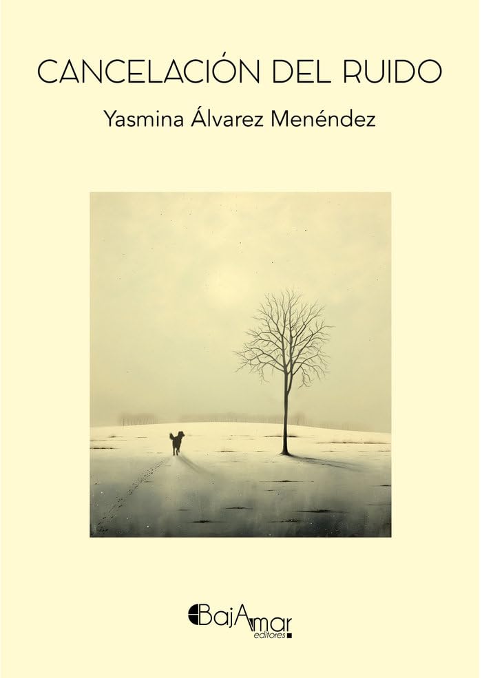 CANCELACION DEL RUIDO (Paperback)