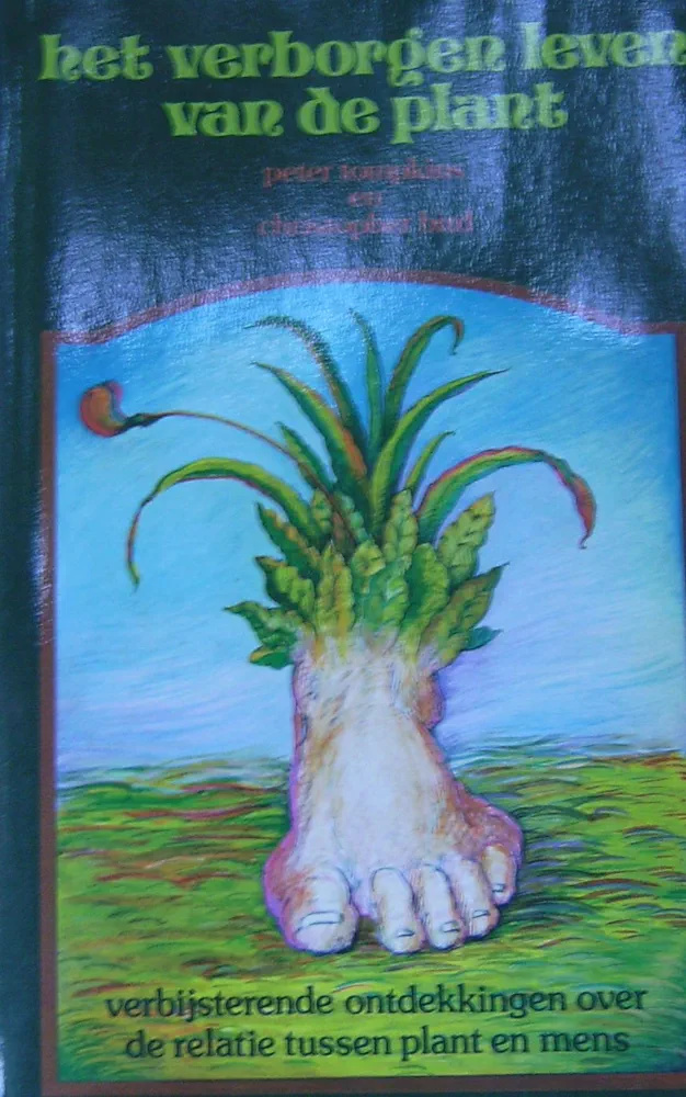 Het Verborgen Leven Van De Plants