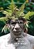 Chamanes de los siete vientos by Txalipongo Chamanes de los siete vientos by Txalipongo