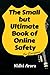 The Small But Ultimate Book of Online Safety: For Everyone