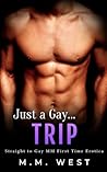 Just a Gay... Trip by M.M. West
