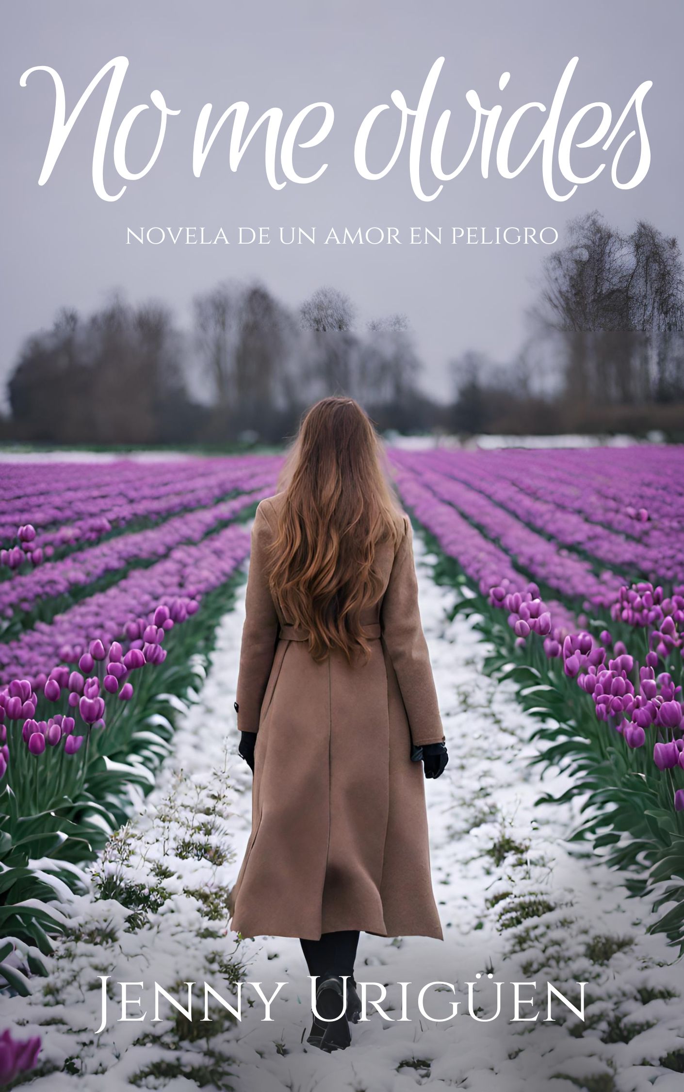 No me olvides: Historia de un amor en peligro (Spanish Edition)