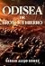 Odisea de bronce y hierro