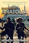 Shadows of Anatolia: An International Political Action Thriller Set in Istanbul, Turkey (A Nathan Radcliff Thriller Book 3)