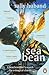 Sea Bean: A Beachcombers Search for Magical Charm