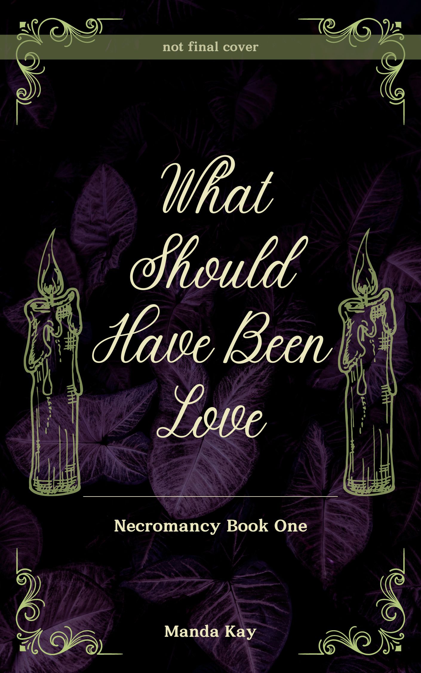 What Should Have Been Love (Necromancy, #1)