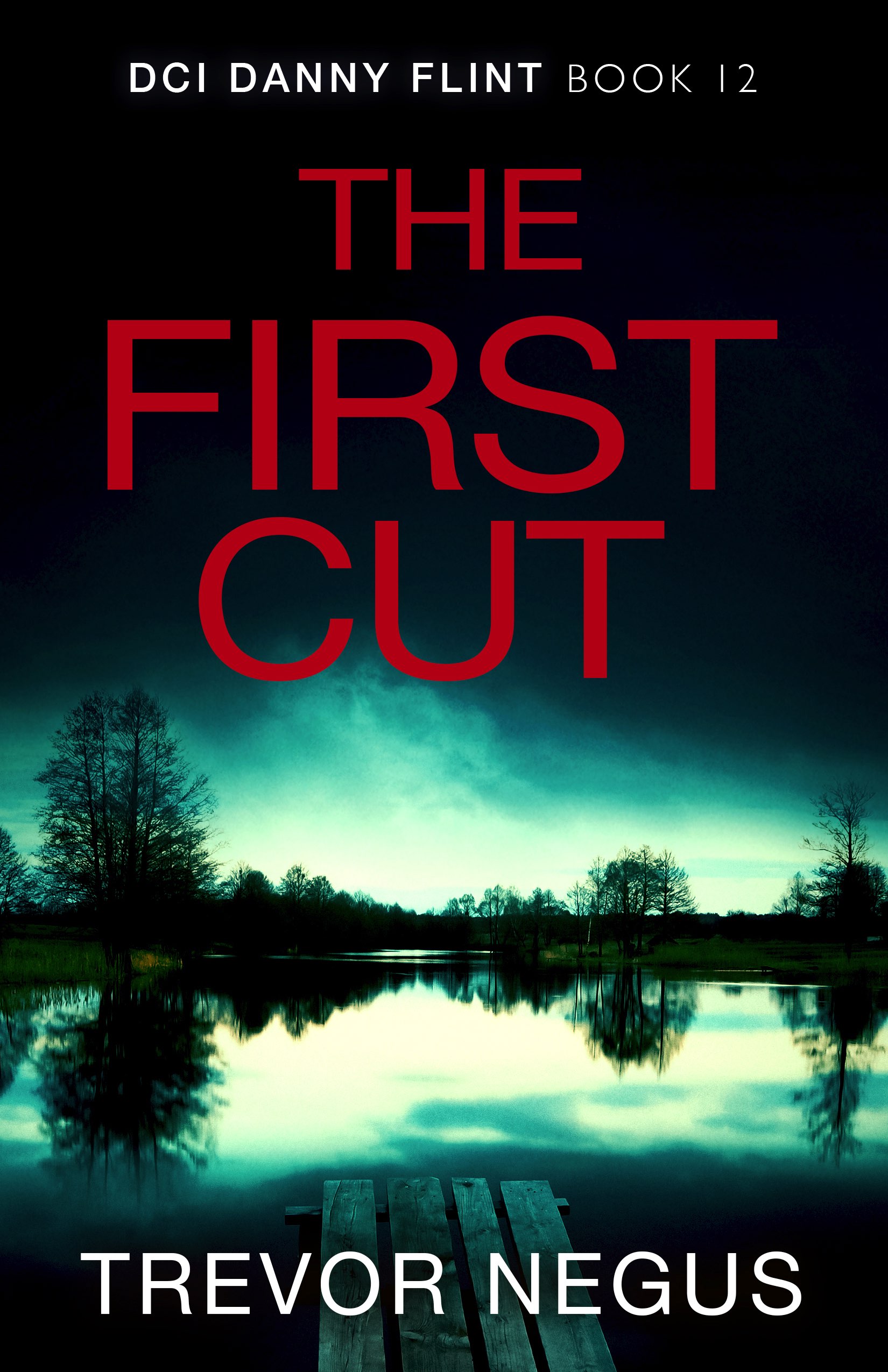 The First Cut (DCI Danny Flint Book #12)