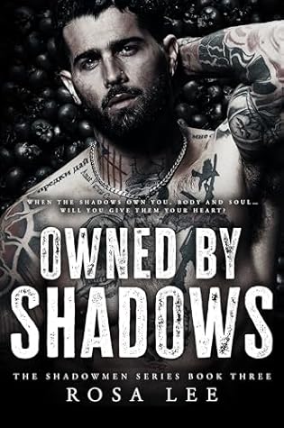 Owned by Shadows (The Shadowmen #3)