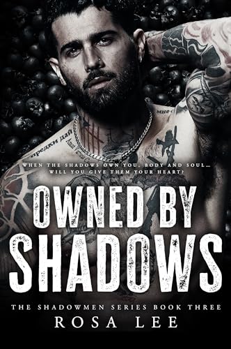 Owned by Shadows (The Shadowmen #3)